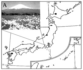 日本是一个多山的岛国,地狭人稠,经济高度发达。读下图,回答下列问题。景观图A所示的山峰是________,是日本著名的旅游胜地。日本国土狭小 日本是一个多山的岛国,地狭人稠,经济高度发达。读下图,回答下列问题。景观图A所示的山峰是________,是日本著名的旅游胜地。日本国土狭小