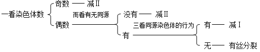 以下细胞中既有同源染色体,又含染色单体的是①有丝分裂中期细胞②有丝分裂后期细胞③减数第一次分裂中期细胞④减数第二次分裂中期细胞⑤减数第一次分裂后期细胞⑥减 以下细胞中既有同源染色体,又含染色单体的是①有丝分裂中期细胞②有丝分裂后期细胞③减数第一次分裂中期细胞④减数第二次分裂中期细胞⑤减数第一次分裂后期细胞⑥减