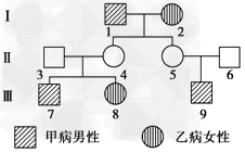 某校学生在开展研究性学习时,进行了人类遗传病方面的调查研究,发现一家族中有的成员患甲种遗传病,有的成员患乙种遗传病。如或图是该校学生根据调查结果绘制 某校学生在开展研究性学习时,进行了人类遗传病方面的调查研究,发现一家族中有的成员患甲种遗传病,有的成员患乙种遗传病。如或图是该校学生根据调查结果绘制