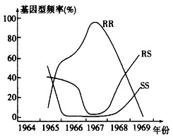 某地区从1964年开始使用杀虫剂杀灭蚊子幼虫,至1967年中期停用。下图是五年间蚊子幼虫基因型频率变化曲线。R表示杀虫剂抗性基因,S表示野生敏感型基因。据 某地区从1964年开始使用杀虫剂杀灭蚊子幼虫,至1967年中期停用。下图是五年间蚊子幼虫基因型频率变化曲线。R表示杀虫剂抗性基因,S表示野生敏感型基因。据