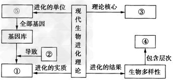 下列为现代生物进化理论的概念图请完成下列问题:(1)①指的是______________。(2)②包括突变和基因重组、自然选择、 下列为现代生物进化理论的概念图请完成下列问题:(1)①指的是______________。(2)②包括突变和基因重组、自然选择、