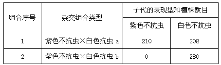 棉花的纤维有白色的,也有紫色的;棉花植株有抗虫的也有不抗虫的。为了培育出紫色纤维抗虫棉新品种,现用紫色不抗虫植株分别与白色抗虫植株a、b进行杂交(假 棉花的纤维有白色的,也有紫色的;棉花植株有抗虫的也有不抗虫的。为了培育出紫色纤维抗虫棉新品种,现用紫色不抗虫植株分别与白色抗虫植株a、b进行杂交(假