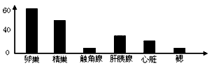 青虾细胞的染色体数目多而且形态小,为确定其染色体数目,需要制备染色体标本。科研人员挑选若干组数量相等、每个体重(5+0.2)g、活动力强、性成熟的青 青虾细胞的染色体数目多而且形态小,为确定其染色体数目,需要制备染色体标本。科研人员挑选若干组数量相等、每个体重(5+0.2)g、活动力强、性成熟的青