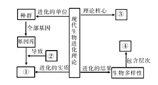 下列为现代生物进化理论的概念图,请分析回答问题:(1)图中①是指________;③是指________;④是指________ 下列为现代生物进化理论的概念图,请分析回答问题:(1)图中①是指________;③是指________;④是指________