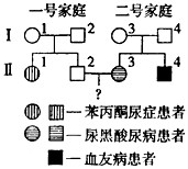 分析下列遗传系谱,苯丙酮尿症、尿黑酸尿病、血友病的基因分别用p、a、h表示。一号和二号家庭均不携带对方家庭出现的遗传病基因。下列说法正确的是 分析下列遗传系谱,苯丙酮尿症、尿黑酸尿病、血友病的基因分别用p、a、h表示。一号和二号家庭均不携带对方家庭出现的遗传病基因。下列说法正确的是