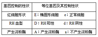 人类的每一条染色体上都有很多基因。如在人类的1号染色体上包括以下几种基因若父母的1号染色体分别如图所示,不考虑染色体交叉互换,据 人类的每一条染色体上都有很多基因。如在人类的1号染色体上包括以下几种基因若父母的1号染色体分别如图所示,不考虑染色体交叉互换,据