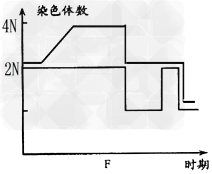 下面是细胞分裂的五个示意图以及染色体数目变化的曲线,请分析回答:(1)若这些细胞来自同一个生物,则该生物的体细胞染色体数为______条,不含同 下面是细胞分裂的五个示意图以及染色体数目变化的曲线,请分析回答:(1)若这些细胞来自同一个生物,则该生物的体细胞染色体数为______条,不含同