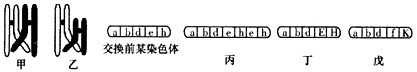 染色体之间的交叉互换可能导致染色体的结构或基因序列的变化。下列图中甲、乙两图分别表示两种染色体之间的交叉互换模式,丙、丁、戊图表示某染色体变化的三种 染色体之间的交叉互换可能导致染色体的结构或基因序列的变化。下列图中甲、乙两图分别表示两种染色体之间的交叉互换模式,丙、丁、戊图表示某染色体变化的三种