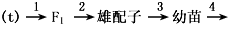 培育矮秆抗锈病小麦新品种的方法如下:纯种的高秆(D)抗锈病(T)×纯种的矮秆(d)易染锈病选出符合要求的品种。下列有关该育种方法的叙述中,正确的是[ 培育矮秆抗锈病小麦新品种的方法如下:纯种的高秆(D)抗锈病(T)×纯种的矮秆(d)易染锈病选出符合要求的品种。下列有关该育种方法的叙述中,正确的是[