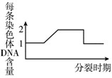 下列示意图分别表示某动物(2n=4)体内细胞正常分裂过程中不同时期细胞内染色体、染色单体和DNA含量的关系及细胞分裂图像,请分析回答: 下列示意图分别表示某动物(2n=4)体内细胞正常分裂过程中不同时期细胞内染色体、染色单体和DNA含量的关系及细胞分裂图像,请分析回答:
