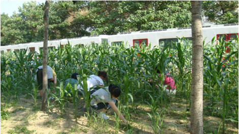 城市学院大学城校区积极开展体验党日活动 城市学院大学城校区积极开展体验党日活动