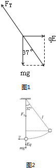 用一根长为l的丝线吊着一质量为m带电荷量为q的小球,小球静止在水平向右的匀强电场中,如图所示,丝线与竖直方向成370角.现突然将该电场方向变为向下但大小不变,不 魔方格