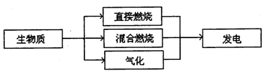 生物质能是指植物叶绿素将太阳能转化为化学能并贮存在生物质内部的能量。生物质发电是利用生物质燃烧或生物质转化为可燃气体燃烧发电的技术。下图为生物质发电方式示意图。 生物质能是指植物叶绿素将太阳能转化为化学能并贮存在生物质内部的能量。生物质发电是利用生物质燃烧或生物质转化为可燃气体燃烧发电的技术。下图为生物质发电方式示意图。