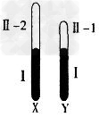 自然界的女娄菜(2N=46)为雌雄异株植物,其性别决定方式为XY型,下图为其性染色体简图。X和Y染色体有一部分是同源的(图中I区段),该部分存在等位基因; 自然界的女娄菜(2N=46)为雌雄异株植物,其性别决定方式为XY型,下图为其性染色体简图。X和Y染色体有一部分是同源的(图中I区段),该部分存在等位基因;