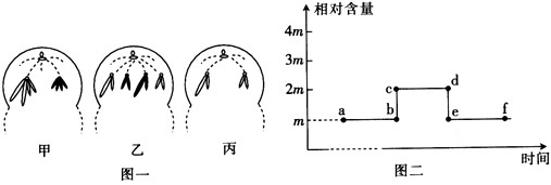 下图一是某种二倍体动物的细胞分裂示意图(局部),三个细胞均来自同一动物个体;下图二是该生物某种细胞分裂全过程中染色体组数目变化曲线,请据图回答: 下图一是某种二倍体动物的细胞分裂示意图(局部),三个细胞均来自同一动物个体;下图二是该生物某种细胞分裂全过程中染色体组数目变化曲线,请据图回答: