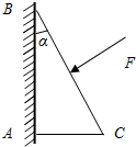 如图所示,质量为m,横截面为直角形的物块ABC,∠ABC=α,AB边靠在竖直墙上,AB与墙之间的动摩擦因数为μ,F是垂直于斜面BC的推力,现物块刚好静止不动,求 魔方格