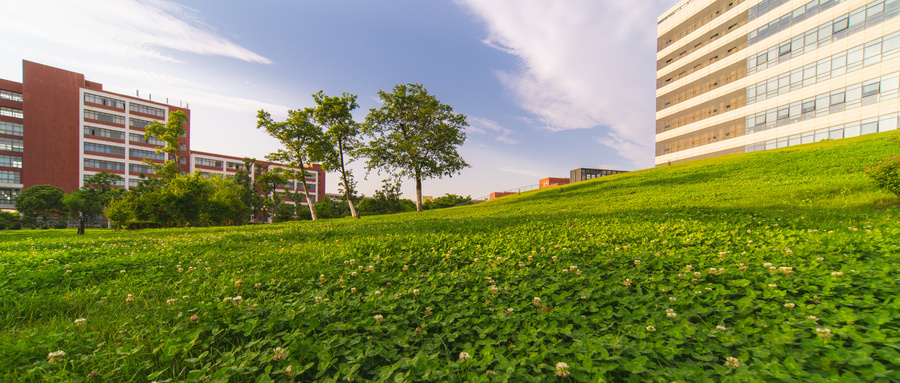 河南师范大学继续教育学院影视艺术专业好不好? 河南师范大学继续教育学院影视艺术专业好不好