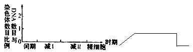 如图是某生物的精原细胞分裂过程图,试据图回答相关问题:(1)精原细胞除能发生图示的分裂方式外,还可进行_________分裂实现 如图是某生物的精原细胞分裂过程图,试据图回答相关问题:(1)精原细胞除能发生图示的分裂方式外,还可进行_________分裂实现