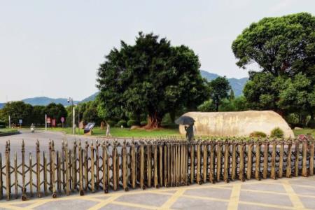 2021年温州医科大学仁济学院选科要求对照表(在湖南招生专业) 2021年温州医科大学仁济学院选科要求对照表(在湖南招生专业)