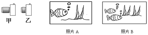 如图甲、乙是镜头焦距不同的两架相机,它们所用的底片规格是相同的,分别用它们在同一位置拍摄同一景物。我们可以判定在图中,照片 是用相机甲拍摄的,照片 如图甲、乙是镜头焦距不同的两架相机,它们所用的底片规格是相同的,分别用它们在同一位置拍摄同一景物。我们可以判定在图中,照片 是用相机甲拍摄的,照片