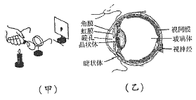 某物理兴趣小组进行“模拟近视眼”的实验探究。如图所示,把近视眼镜放在蜡烛和凸透镜之间,移动光屏得到清晰的像,标出光屏的位置;拿开眼镜,屏上的像 某物理兴趣小组进行“模拟近视眼”的实验探究。如图所示,把近视眼镜放在蜡烛和凸透镜之间,移动光屏得到清晰的像,标出光屏的位置;拿开眼镜,屏上的像