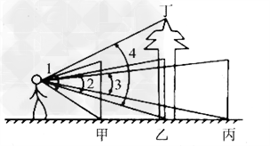 如下图,∠1、∠2、∠3分别为小宇看一排相同规格的电线杆甲、乙、丙时的视角,丁是一棵树,比电线杆乙高,并与电线杆乙到小明眼睛的距离相等,量出各角大小如下 如下图,∠1、∠2、∠3分别为小宇看一排相同规格的电线杆甲、乙、丙时的视角,丁是一棵树,比电线杆乙高,并与电线杆乙到小明眼睛的距离相等,量出各角大小如下