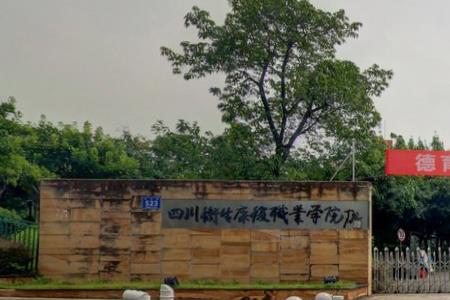 2021年四川卫生康复职业学院选科要求对照表(在重庆招生专业) 2021年四川卫生康复职业学院选科要求对照表(在重庆招生专业)