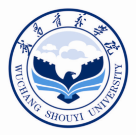 2021年武昌首义学院选科要求对照表(在湖南招生专业) 2021年武昌首义学院选科要求对照表(在湖南招生专业)