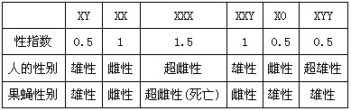 人类和果蝇都是XY型性别决定的生物。在人类和果蝇中性染色体和性别的关系如表所示。根据以上材料回答下列问题:(1)人类男性的性别取 人类和果蝇都是XY型性别决定的生物。在人类和果蝇中性染色体和性别的关系如表所示。根据以上材料回答下列问题:(1)人类男性的性别取