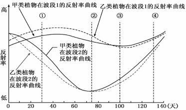 不同地物在同一光谱波段上的反射率差异越大,越容易区分。下图反映了甲、乙两类植物在生长期内两个波段上的反射率。在遥感影像上区分这两类植物,应选择生长期内哪一天的影 不同地物在同一光谱波段上的反射率差异越大,越容易区分。下图反映了甲、乙两类植物在生长期内两个波段上的反射率。在遥感影像上区分这两类植物,应选择生长期内哪一天的影