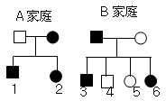 下图是A、B两个家庭的色盲遗传系谱图,A家庭的母亲是色盲患者(图中●),这两个家庭由于某种原因调换了一个孩子,请确定调换的两个孩子是 下图是A、B两个家庭的色盲遗传系谱图,A家庭的母亲是色盲患者(图中●),这两个家庭由于某种原因调换了一个孩子,请确定调换的两个孩子是
