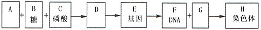 下列为高等生物细胞内部分物质和结构(A-H)之间关系的图解。请分析回答问题:(1)图中A代表______________,G代表 下列为高等生物细胞内部分物质和结构(A-H)之间关系的图解。请分析回答问题:(1)图中A代表______________,G代表