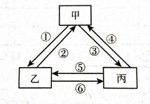 分析下图,回答下列下列问题:小题1:如果①③表示反馈影像信息的处理结果,②⑥表示提供影像的功能,④⑤表示提供定位信息功能,关于甲、乙、丙的说法正确的是A.甲 分析下图,回答下列下列问题:小题1:如果①③表示反馈影像信息的处理结果,②⑥表示提供影像的功能,④⑤表示提供定位信息功能,关于甲、乙、丙的说法正确的是A.甲