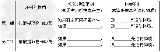 某科研小组对禽流感病毒遗传物质进行了如下实验:实验原理:略。实验目的:探究禽流感病毒的遗传物质是DNA还是RNA。材料用具:显微注射器、禽流感病毒的核酸提 某科研小组对禽流感病毒遗传物质进行了如下实验:实验原理:略。实验目的:探究禽流感病毒的遗传物质是DNA还是RNA。材料用具:显微注射器、禽流感病毒的核酸提