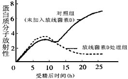 已知放线菌素D是RNA合成抑制剂。下图是根据海胆受精卵在有放线菌素D和无放线菌素D存在情况下培养时,对14C标记的缬氨酸参与蛋白质合成的实验结果绘制的曲线 已知放线菌素D是RNA合成抑制剂。下图是根据海胆受精卵在有放线菌素D和无放线菌素D存在情况下培养时,对14C标记的缬氨酸参与蛋白质合成的实验结果绘制的曲线