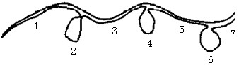 科学工作者分离得到了某生物的基因,将其解离成两条单链,用其中一条与该基因的信使RNA杂交配对,结果如下图所示,除哪项外对此合理的解释均正确 科学工作者分离得到了某生物的基因,将其解离成两条单链,用其中一条与该基因的信使RNA杂交配对,结果如下图所示,除哪项外对此合理的解释均正确