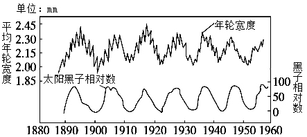 读太阳黑子与温带乔木年轮相关性曲线图,完成题。 小题1:图中年轮宽度与太阳黑子相对数之间的关系是A.正比例B.负相关C.正相关D.没有相关性小题2:此图所反映的 读太阳黑子与温带乔木年轮相关性曲线图,完成题。 小题1:图中年轮宽度与太阳黑子相对数之间的关系是A.正比例B.负相关C.正相关D.没有相关性小题2:此图所反映的