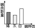 由于真菌感染而使某森林中所有树干的颜色都变成了灰白色.多年以后,此森林中不同颜色的蛾类最可能的变化结果是如图中的A.B.C.D. 魔方格