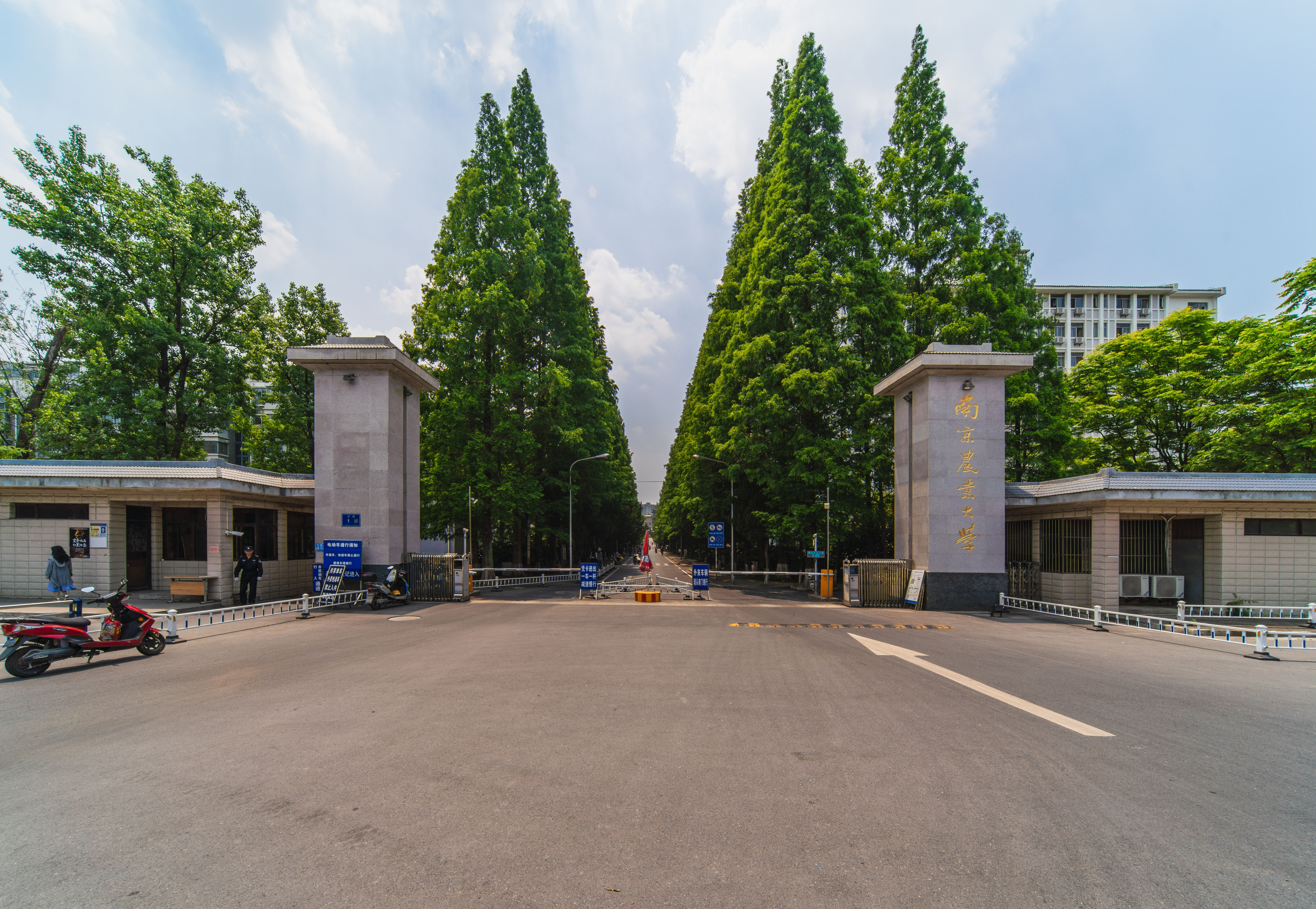 南京农业大学和华中农业大学哪个好?附华中农业大学最好的专业 南京农业大学和华中农业大学哪个好?附华中农业大学最好的专业