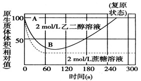 用2mol/L的乙二醇溶液和2mol/L的蔗糖溶液分别浸泡某种植物细胞,观察质壁分离现象,得到其原生质体体积的变化情况如下图所示。请据图完成下列问题 用2mol/L的乙二醇溶液和2mol/L的蔗糖溶液分别浸泡某种植物细胞,观察质壁分离现象,得到其原生质体体积的变化情况如下图所示。请据图完成下列问题