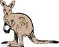 Which animal comes from China?A.B.C.D. Which animal comes from China?A.B.C.D.
