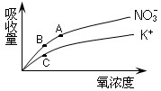下图所示为胡萝卜在不同的含氧情况下从硝酸钾溶液中吸收K+和NO3-的曲线。影响A、B两点和B、C两点吸收量不同的因素分别是[ 下图所示为胡萝卜在不同的含氧情况下从硝酸钾溶液中吸收K+和NO3-的曲线。影响A、B两点和B、C两点吸收量不同的因素分别是[