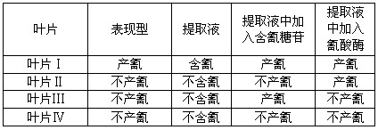 在牧草中,白花三叶草有两个稳定遗传的品种,叶片内含氰(HCN)的和不含氰的。现已研究查明,白花三叶草听片内的氰化物是经下列生化途径产生的: 在牧草中,白花三叶草有两个稳定遗传的品种,叶片内含氰(HCN)的和不含氰的。现已研究查明,白花三叶草听片内的氰化物是经下列生化途径产生的: