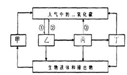 下图是生物圈中碳循环的示意图,请据图分析回答问题:图中③表示的生理过程是。在碳循环中,碳的主要存在形式是。图中乙代表。 下图是生物圈中碳循环的示意图,请据图分析回答问题:图中③表示的生理过程是。在碳循环中,碳的主要存在形式是。图中乙代表。