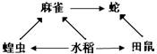 如图,是农田生态系统中部分生物之间的关系。请回答有关问题:要组成完整的生态系统,图中需要添加的成分是非生物部分及。生态系统中的物质循环和能量流动是沿 如图,是农田生态系统中部分生物之间的关系。请回答有关问题:要组成完整的生态系统,图中需要添加的成分是非生物部分及。生态系统中的物质循环和能量流动是沿