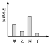 如果一个生态系统中的四种生物构成了食物链的关系,在某一时间内它们的相对关系如图所示,在一段时间内,若乙的数量增加,则会引起( )。A.甲、丁的数量增加,丙的数量 如果一个生态系统中的四种生物构成了食物链的关系,在某一时间内它们的相对关系如图所示,在一段时间内,若乙的数量增加,则会引起( )。A.甲、丁的数量增加,丙的数量