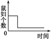 在探究“光对鼠妇生活的影响”的实验中,把同样多的鼠妇同时放在较暗和较亮的环境中.下列哪种曲线能表示较暗环境中鼠妇的数量变化?A.B.C.D. 魔方格