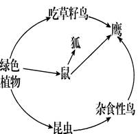 据下图回答问题(每空1分,共7分)若要组成一个完整的生态系统,除图中所示生物外,还必不可少的成分是__________和非生物部分。上边是某同学根据 据下图回答问题(每空1分,共7分)若要组成一个完整的生态系统,除图中所示生物外,还必不可少的成分是__________和非生物部分。上边是某同学根据