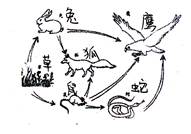 下图为草原生态系统的食物网简图,据图回答下列问题:①图中所有生物若要构成一个完整的生态系统,缺少部分和者。②从图中可以看出,生产者与消费者之间的关系是的关系。③ 下图为草原生态系统的食物网简图,据图回答下列问题:①图中所有生物若要构成一个完整的生态系统,缺少部分和者。②从图中可以看出,生产者与消费者之间的关系是的关系。③