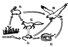 下图是草原生态示意图,请回答:从图中可以看出,生产者是,消费者有种。生产者与消费者之间的关系主要是关系,这就形成了。此图中共有条食物链,它们 下图是草原生态示意图,请回答:从图中可以看出,生产者是,消费者有种。生产者与消费者之间的关系主要是关系,这就形成了。此图中共有条食物链,它们